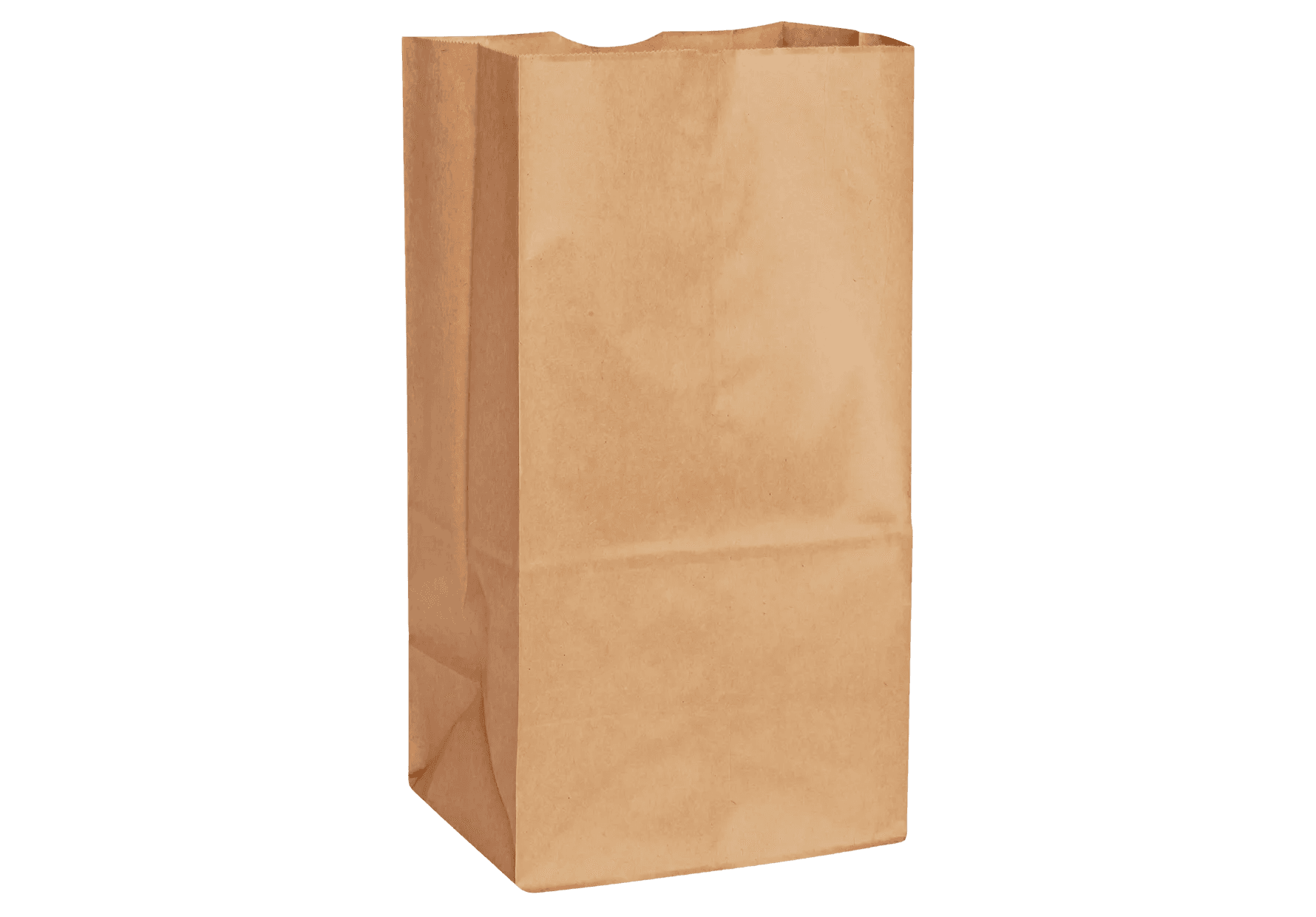 Kraft Paper Bags