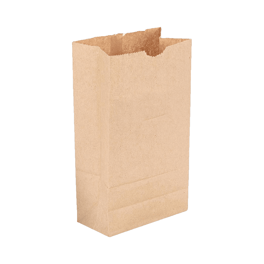 Kraft Paper Bag