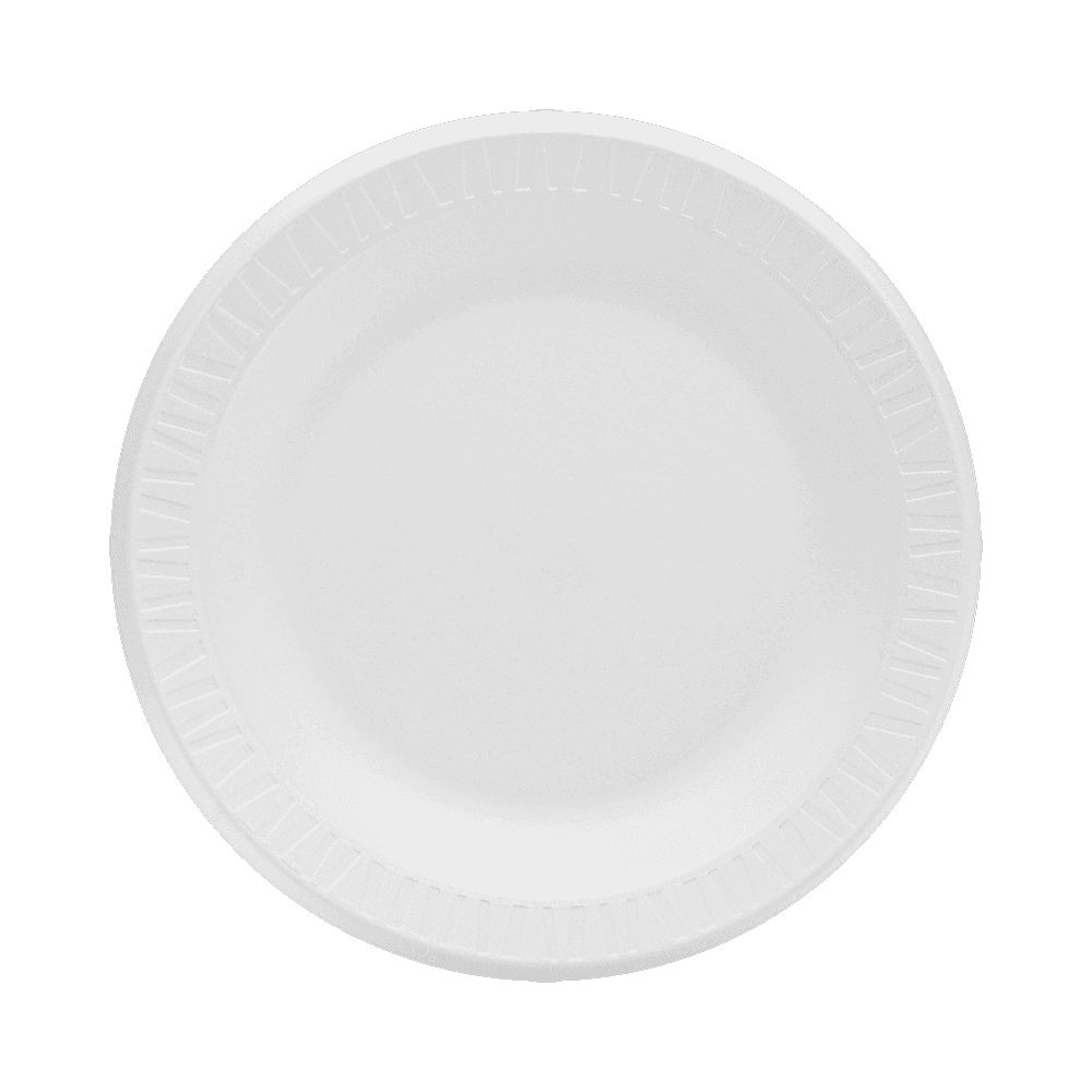 10 1/4" Foam Plate